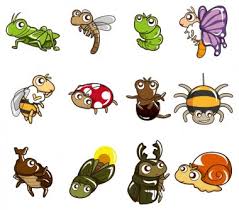 Html5 available for mobile devices. Cricket Insect Premium Vector Download For Commercial Use Format Eps Cdr Ai Svg Vector Illustration Graphic Art Design