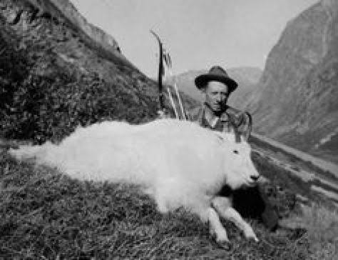 The Improbable White Beast of Another Big Adventure