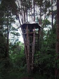 We did not find results for: Taman Eden 100 Tiket Masuk 7 Gambar Aktivitas Terbaru 2021 Pariwisata Sumut
