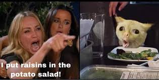 Karen's potato salad with raisins. Raisins No Album On Imgur