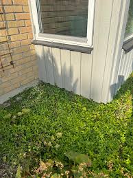 Image result for site:byggahus.se Stockholm, Hägersten