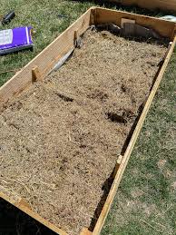 Check spelling or type a new query. How To Fill A Raised Garden Bed And Save On Soil Twelve On Main