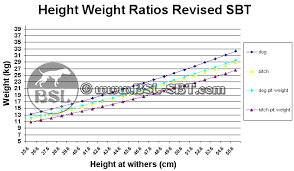 78 Inquisitive Mastiff Growth Chart Height