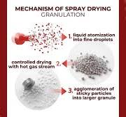 Spray Drying Granulation: Process and Mechanism Guide