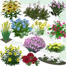 Trees Shrubs And Flowering Plants Sketchup Models Free Download Planting Flowers Plants Landscape Design
