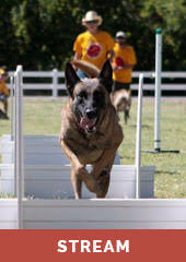 For example, you could start with the cabinets, then do the countertop, sink and handles at a later stage. Search Results Leerburg On Demand
