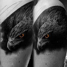 Big Bird With White Head And Black Body 100 Hawk Tattoo Designs For Men Masculine Bird Ink Ideas Hawk Tattoo Black Bird Tattoo Eagle Shoulder Tattoo