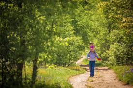 Maas Family Nature Preserve