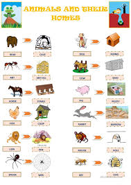 One Click Print Document Animals And Their Homes Animals For Kids Animal Lessons