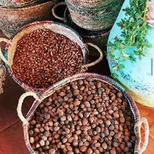Login Instagram In 2020 Food Animals Dog Food Recipes Nature