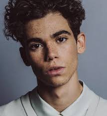 Avery Dixon (@averydixon234)