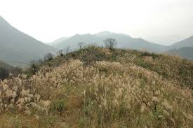 Image result for Kwai Tau