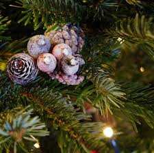 We did not find results for: Types Of Christmas Trees Real Christmas Tree Guide
