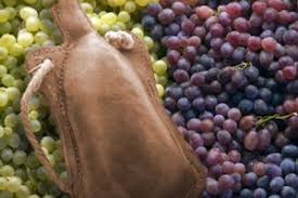 Resultado de imagen para odres nuevos