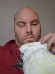 Dobie puppy growing fast and loves people