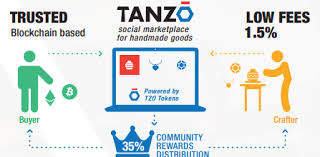 Hasil gambar untuk tanzo ico image