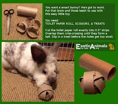 Pin On Diy Bunny Toys