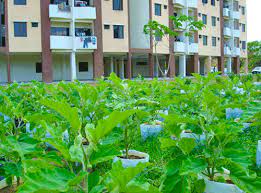 Ni adalah satu bukti bahawa sentimen perkauman tu masih 'hidup' lagi di tanah malaysia ni. Pertanian Bandar Selangkah Ke Hadapan Untuk Jaminan Makanan Universiti Putra Malaysia