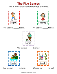 Nonna And Me The Five B Senses B Learning About Our World Senses Five Senses Worksheet Preschool Worksheets