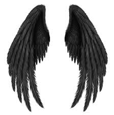 Black And White Angel Wings Png Transparent Black Wings Png Clipart Picture Angel Wings Png Wings Drawing Wings Png