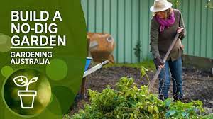 We did not find results for: How To Build A No Dig Garden Diy Garden Projects Gardening Australia Youtube