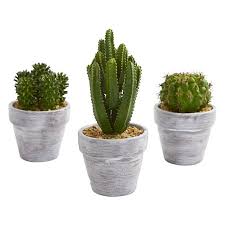 Get latest info on cactus plants, suppliers, manufacturers, wholesalers, traders, wholesale suppliers with cactus. Nearly Natural 8in Cactus Artificial Plant Set Of 3 Green Walmart Com In 2021 Mini Cactus Plants Artificial Cactus Cactus Plants