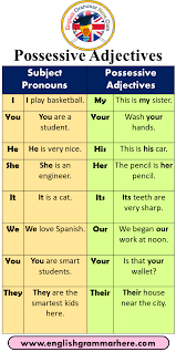 8 Possessive Adjectives Definition And Example Sentences Subject Pronouns Possessive Adjectives I I Play Basketba In 2020 Possessive Adjectives Adjectives Possessives