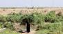 Garden Of Eden Location Africa