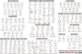 Organic Chemistry Reactions Poster Study Guide For College