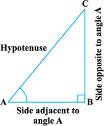 Law of sines and cosines worksheet (this sheet is a summative worksheet that focuses on deciding when to use the law of sines or cosines as well as on using both formulas to solve for a single triangle's side or. Introduction To Trigonometry Ncert Class 10 Maths