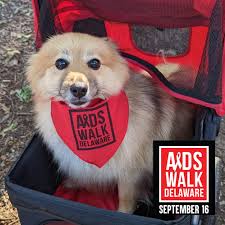 DavidMariner.com (@DavidMarinerDC)