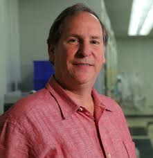 Departmental Seminars