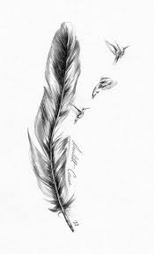 Birds Of A Feather Saying 61 Ideas Tattoo Bird Meaning Hummingbirds Tattoo Feather Tattoo Design Feather With Birds Tattoo
