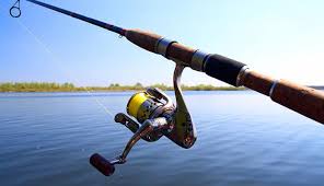 10 Best Spinning Rods In 2020 Buying Guide Reviews Globo Surf