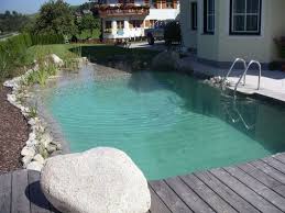 Building A New Natural Pool Natural Pool Natural Swimming Pools Backyard Pool Designs