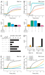How is order completion calculated? Cancers Free Full Text Acidification Is An Essential Process Of Cold Atmospheric Plasma And Promotes The Anti Cancer Effect On Malignant Melanoma Cells
