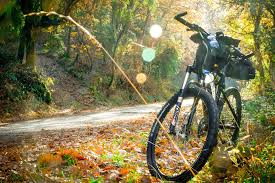 Rahmenhohe Trekkingrad Crossrad Ratgeber Tabellen Frnet