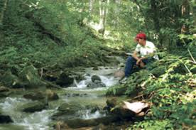 We did not find results for: Camping In The Smoky Mountains Smoky Mountains In Nc
