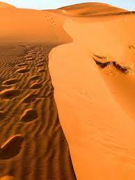 メルズーガからサハラ砂漠ツアー 強くおすすめ サハラ砂漠 ツアー 旅