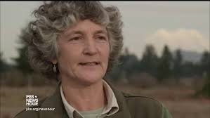 Endangered Taylors Checkerspot Butterfly