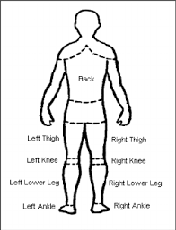 You need to first understand all the forces acting on the object and then represent these force by arrows in. Human Body Location Of Influenced Body Parts Download Scientific Diagram