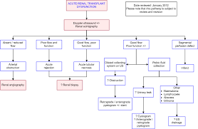 Renal Transplant Dysfunction Acute