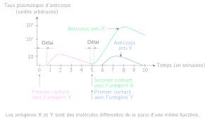 Analyser un graphe superprof / this was svt's first logo. Evolution De La Quantite D Anticorps En Fonction Du 1ere Specialite Svt Qcm N 947