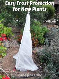 How To Protect New Plants From Frost An Easy Diy Thelinkssite Com Frost Protection For Plants Plants Winter Garden