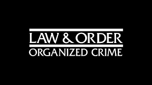 It's almost certain that major characters like benson are coming back, but will sergeant hasim khaldun stick around long enough to develop a real connection with rollins? Law Order Organized Crime Wikipedia