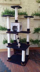 Gimnasio Para Gatos Re Gimnasio Para Gatos Gatos Ropa Para Mascotas