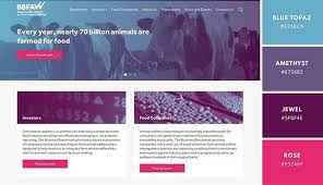 Browse thousands of color combinations on canva and create your own designs without hiring a designer. Best Website Color Scheme Examples Canva