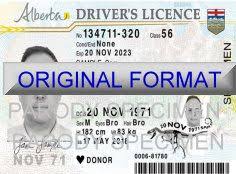 How to get an alberta drivers license. Fake Alberta Driver License Fake License Alberta Fake Id Maker