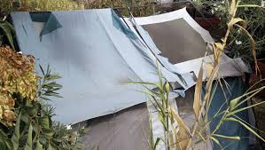 Maybe you would like to learn more about one of these? Jaycee Lee Dugard Case Neighbors Thought Phillip Garrido Was Weird But Took Comfort In Visits By Parole Officer