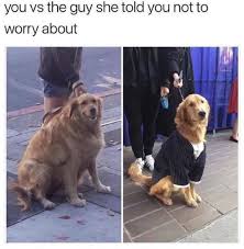 You Vs The Guy She Says Not To Worry About You Vs The Guy She Told You Not To Worry About Animal Memes Funny Dog Memes Funny Animal Photos